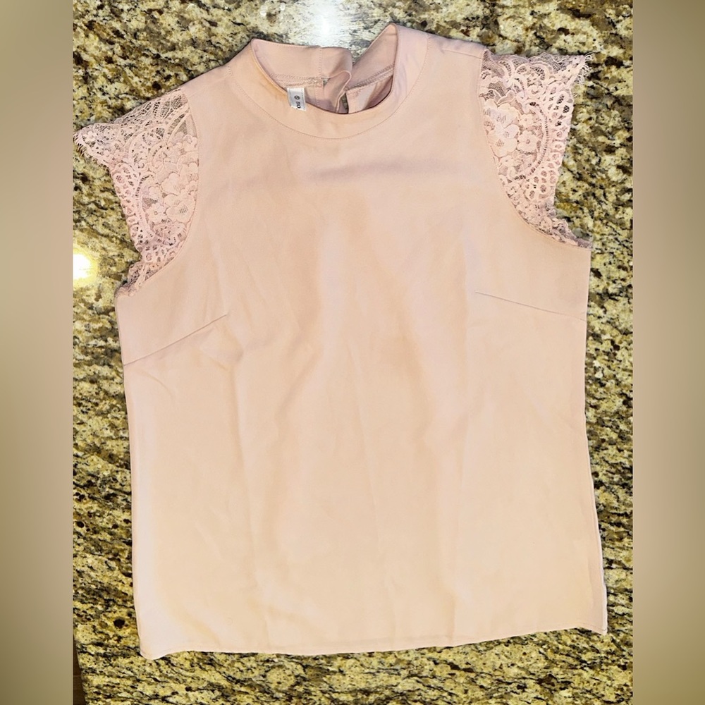 Berryou Lace Pink Blouse Size Small